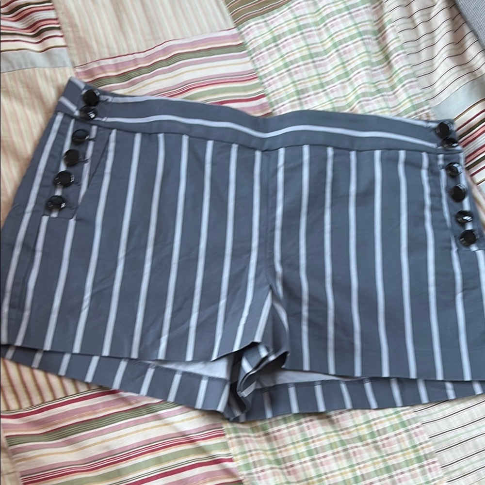 Ann Taylor Loft Striped Gray Women's Shorts 16